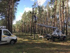 Energetycy Enei Operator przywracają zasilanie po orkanie w okolicach wsi Toporów w woj. lubuskim (4).JPG