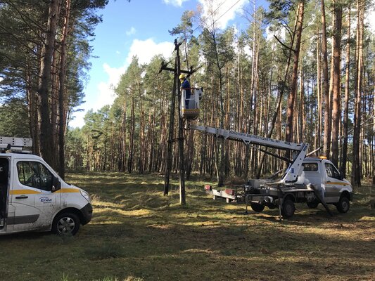 Energetycy Enei Operator przywracają zasilanie po orkanie w okolicach wsi Toporów w woj. lubuskim (4