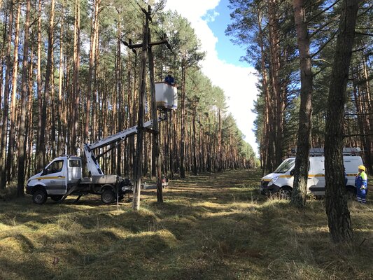 Energetycy Enei Operator przywracają zasilanie po orkanie w okolicach wsi Toporów w woj. lubuskim (7