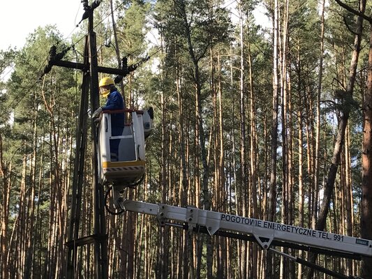 Enea Operator przywróciła dostawy prądu do ok. 150 tys. Odbiorców (1)