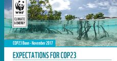 Expectations for COP23.JPG