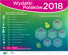 Wydatki Polakow 2018.jpg