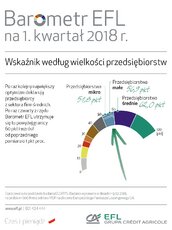 BarometrEFL2018_q1-wielkosc.jpg