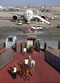 Horses boarding the horse stall at DWC through a dedicated horse ramp.jpg