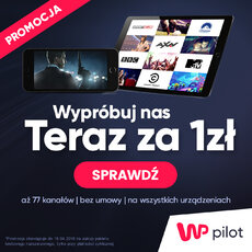 WP Pilot grafika 1.jpg