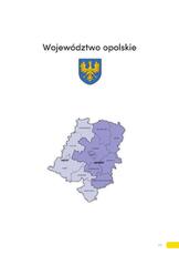 Raport_o_sytuacji_mikro_Firm_Opolskie.pdf