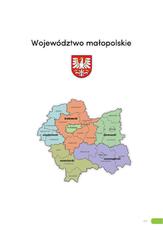 Raport_malopolska_2018.pdf