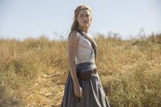 Westworld II.jpg