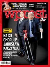 wprostCV_20_2018.png