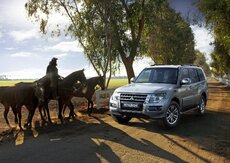 17_PAJERO_EU_2_1108_LR.jpg