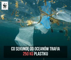 plastik1.png