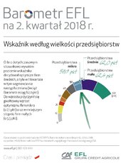 BarometrEFL2018_q2-wielkosc.jpg