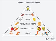 PiramidaZywieniowa.jpg