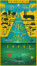 WWF-infografika-blue-poprawki.jpeg