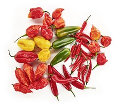 Papryki chili w MAKRO (2).jpg