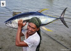 Tuna Fisherman Mamburao (c) Gregg Yan WWF.JPG