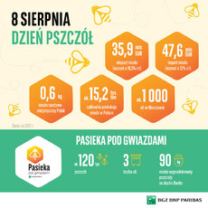 BGŻ BNP Paribas _dzień pszczół_infografika.jpg