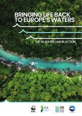 bringing_life_back_to_europe_s_waters_web.pdf