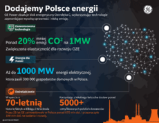 Infografika_Ostrołęka C.png