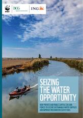 Seizing_the_water_opportunity.pdf