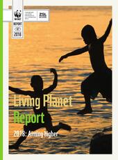 LPR2018 Full Report ENG.pdf