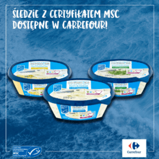 MSC_Carrefour.png