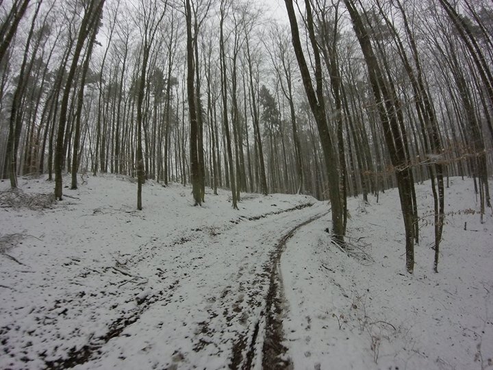 120201714746155_1692034150896229.jpg