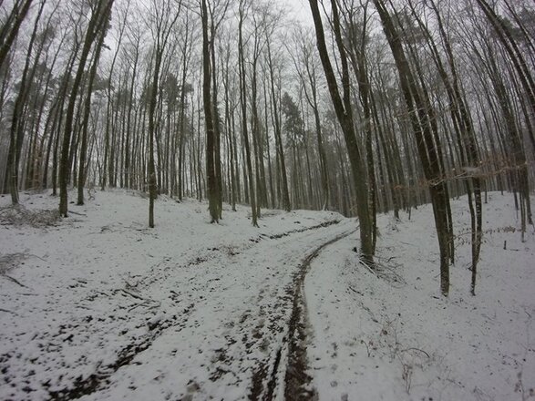 120201714746155_1692034150896229.jpg