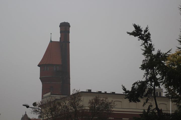 120201714746155_1708463505919960.jpg