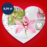 Kwiat storczyka Cymbidium.png