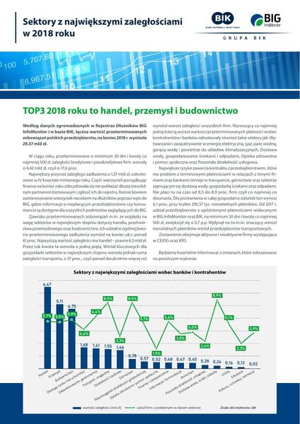 sektory_z_najwiekszymi_zaleglosciami_luty_2019.pdf