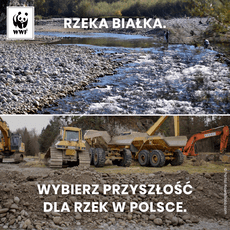 Rzeka Białka. Wybierz przyszłość dla rzek w Polsce. ..2222.png