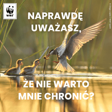 Naprawdę uważasz, że nia warto mnie chronić znak zapytania.png