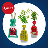 Kwiat, sadzonka w woreczku, różne.png