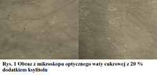 wata cukrowa pod mikroskopem.png