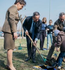 Enea Połaniec założyła dębowy park z okazji 40-lecia Elektrowni Połaniec (4).jpg