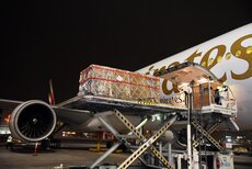 Emirates SkyCargo transports 2,000 year old historical artefact (1).jpg