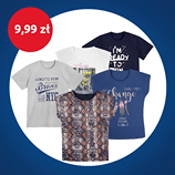 T-shirt damski, męski.png