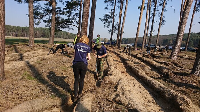 Enea wspólnie z Lasami Państwowymi dba o środowisko (4).jpg