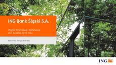 ING BSK_prezentacja_1Q_2019_PL.PDF