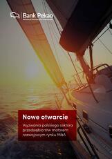 Pekao_M&A_raport.pdf