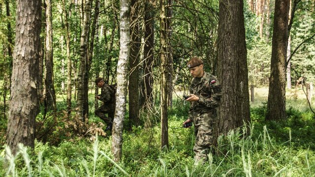 Projekt Grup Poszukiwawczo – Ratowniczych z psami