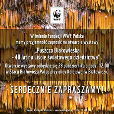 ZAPROSZENIE NA WYSTAWĘ O  BIAŁOWIEŻY.jpg