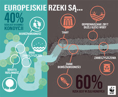 60-40_ inforgraphic_PL (1) (1).jpg