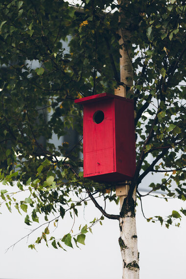 Budki dla ptaków w Business Garden