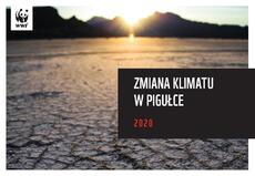 zmiana_klimatu_2020.pdf