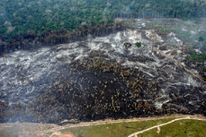 WWF_Deforestacja_w_Bom_Futuro_Brazylia.jpg