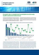 Sektory z największymi zaległościami wobec banków i partnerów biznesowych_luty 2020.pdf