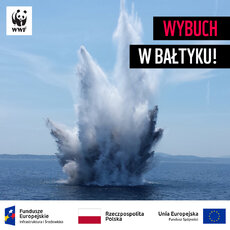 WYBUCH_W_BALTYKU.jpg