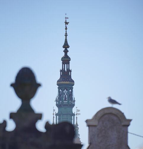 Gdańsk. Wieża Ratusza Głównego Miasta. Poniżej niej fragmenty dwóch szczytów gdańskich kamienic. Na prawej siedzi ptak.   